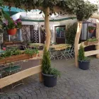 Unternehmen 19 Bild MEINHOLZHOF Zimmerarbeiten, Holzbauarbeiten am Torgau SN