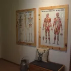 Unternehmen 17 Bild MEYER HARTMUT KRANKENGYMNASTIKPRAXIS Ärzte am München BY