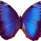 Unternehmen 33 Bild MEYER HARTMUT KRANKENGYMNASTIKPRAXIS Ärzte am München BY