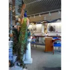 Unternehmen 1 Bild MEYER OPTIK E. K. Optiker am München BY