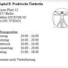 Unternehmen 1 Bild MIGDAL B. PRAKTISCHE TIERÄRZTIN Ärzte am Berlin BE
