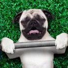 Unternehmen 9 Bild MOVE PERSONAL TRAINING & ERNÄHRUNGSBERATUNG Yogaschulen, Gymnastikschulen am Bremen HB