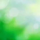 Unternehmen 4 Bild MT GEBÄUDESERVICE E.K. GEBÄUDEREINIGUNG IN MÜNCHEN - WINTERDIENST UND FENSTERREINIGUNG Städtereinigung, Strassenreinigung am München BY