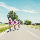 Unternehmen 13 Bild MÜLLER - DIE LILA LOGISTIK SE Transportunternehmen, Fuhrunternehmen am Bünde NW