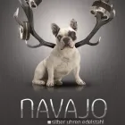 Unternehmen 6 Bild NAVAJO. SILBER UHREN EDELSTAHL Uhren Einzelhandel am Dresden SN