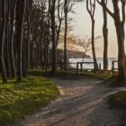 Unternehmen 1 Bild NOVEMBER - VORSORGE & BESTATTUNGEN Soziales & Gesellschaft am Berlin BE