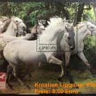 Unternehmen 41 Bild NOWAK & BETH GMBH | MÜNZHÄNDLER - BERLIN - BRIEFMARKEN Service & Dienstleistung am Berlin BE