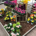 Unternehmen 11 Bild OBI MARKT ÖHRINGEN Zoohandlungen am Oehringen BW