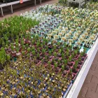Unternehmen 16 Bild OBI MARKT ÖHRINGEN Zoohandlungen am Oehringen BW