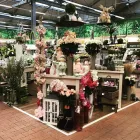Unternehmen 5 Bild OBI MARKT ÖHRINGEN Zoohandlungen am Oehringen BW