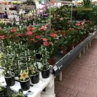 Unternehmen 6 Bild OBI MARKT ÖHRINGEN Zoohandlungen am Oehringen BW