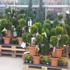 Unternehmen 2 Bild OBI MARKT PEGNITZ Werkzeugvermietung am Pegnitz BY