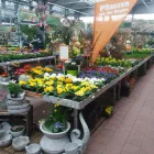 Unternehmen 1 Bild OBI MARKT PEGNITZ Werkzeugvermietung am Pegnitz BY