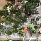 Unternehmen 10 Bild OBI MARKT TORGAU Zoohandlungen am Torgau SN