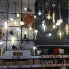 Unternehmen 16 Bild OBI MARKT TORGAU Zoohandlungen am Torgau SN