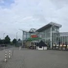 Unternehmen 20 Bild OBI MARKT TORGAU Zoohandlungen am Torgau SN