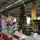 Unternehmen 2 Bild OBI MARKT WALDSHUT-TIENGEN Werkzeugvermietung am Waldshut-Tiengen BW