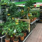 Unternehmen 9 Bild OBI MARKT WALDSHUT-TIENGEN Werkzeugvermietung am Waldshut-Tiengen BW