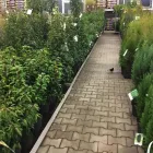 Unternehmen 10 Bild OBI MARKT WALDSHUT-TIENGEN Werkzeugvermietung am Waldshut-Tiengen BW