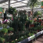 Unternehmen 14 Bild OBI MARKT WALDSHUT-TIENGEN Werkzeugvermietung am Waldshut-Tiengen BW