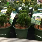 Unternehmen 17 Bild OBI MARKT WALDSHUT-TIENGEN Werkzeugvermietung am Waldshut-Tiengen BW