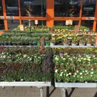 Unternehmen 19 Bild OBI MARKT WALDSHUT-TIENGEN Werkzeugvermietung am Waldshut-Tiengen BW