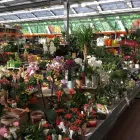 Unternehmen 21 Bild OBI MARKT WALDSHUT-TIENGEN Werkzeugvermietung am Waldshut-Tiengen BW