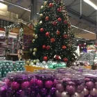 Unternehmen 23 Bild OBI MARKT WALDSHUT-TIENGEN Werkzeugvermietung am Waldshut-Tiengen BW