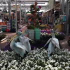 Unternehmen 25 Bild OBI MARKT WALDSHUT-TIENGEN Werkzeugvermietung am Waldshut-Tiengen BW