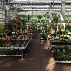 Unternehmen 26 Bild OBI MARKT WALDSHUT-TIENGEN Werkzeugvermietung am Waldshut-Tiengen BW