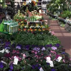 Unternehmen 28 Bild OBI MARKT WALDSHUT-TIENGEN Werkzeugvermietung am Waldshut-Tiengen BW