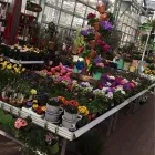 Unternehmen 29 Bild OBI MARKT WALDSHUT-TIENGEN Werkzeugvermietung am Waldshut-Tiengen BW