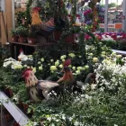 Unternehmen 30 Bild OBI MARKT WALDSHUT-TIENGEN Werkzeugvermietung am Waldshut-Tiengen BW