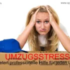 Unternehmen 1 Bild OPTIMAL UMZÜGE GMBH Umzugsunternehmen am Berlin BE