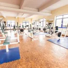 Unternehmen 4 Bild PARAMOUNT FITNESS & WELLNESS Sportvereine, Sportclubs, Spielvereine am Berlin BE