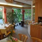 Unternehmen 6 Bild PENSION KELLER Reisen am Reichenau BW
