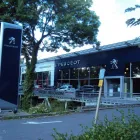 Unternehmen 1 Bild PEUGEOT PSA RETAIL DRESDEN Werkstätten (Pkw) am Dresden SN