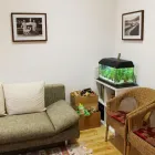 Unternehmen 7 Bild PRAXIS FÜR HOMÖOPATHIE IN BERLIN TREPTOW / KÖPENICK - HEILPRAKTIKERIN HEIKE GABRIEL Naturheilverfahrenärzte, Heilpraktiker am Berlin BE