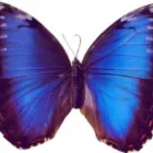 Unternehmen 18 Bild PRAXIS HARTMUT MÜNCHEN Ärzte am München BY