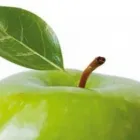 Unternehmen 7 Bild QAS-COMPANY AG Unternehmensberater, Organisationsberater am München BY