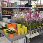 Unternehmen 2 Bild RAIFFEISEN-MARKT ROXEL Zoohandlungen am Münster NW
