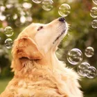 Unternehmen 14 Bild RALU TEST Reisen am München BY