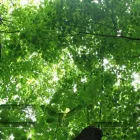 Unternehmen 3 Bild RALU TEST Reisen am München BY