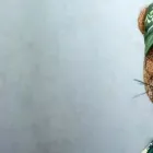 Unternehmen 89 Bild RECYCLINGCENTER | BREITSAMER ENTSORGUNG RECYCLING GMBH | MÜNCHEN Service & Dienstleistung am München BY