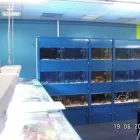 Unternehmen 4 Bild RIFFHÜTTE Zoohandlungen am Bremen HB