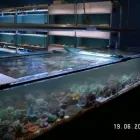 Unternehmen 2 Bild RIFFHÜTTE Zoohandlungen am Bremen HB