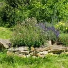 Unternehmen 5 Bild RÖVER GARTENCON GARTEN- UND LANDSCHAFTSBAU Gartenbauunternehmen, Landschaftsbauunternehmen am Münster NW