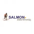 Unternehmen 1 Bild SALMON-ELECTRONIC GMBH & CO.KG KOMMUNIKATIONS- UND SICHERHEITSTECHNIK Wach-Schliessgesellschaften am Munster NI