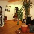 Unternehmen 4 Bild SALON PALMITOS MÜNCHEN Zoohandlung am München BY