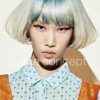 Unternehmen 6 Bild SALON PALMITOS MÜNCHEN Zoohandlung am München BY